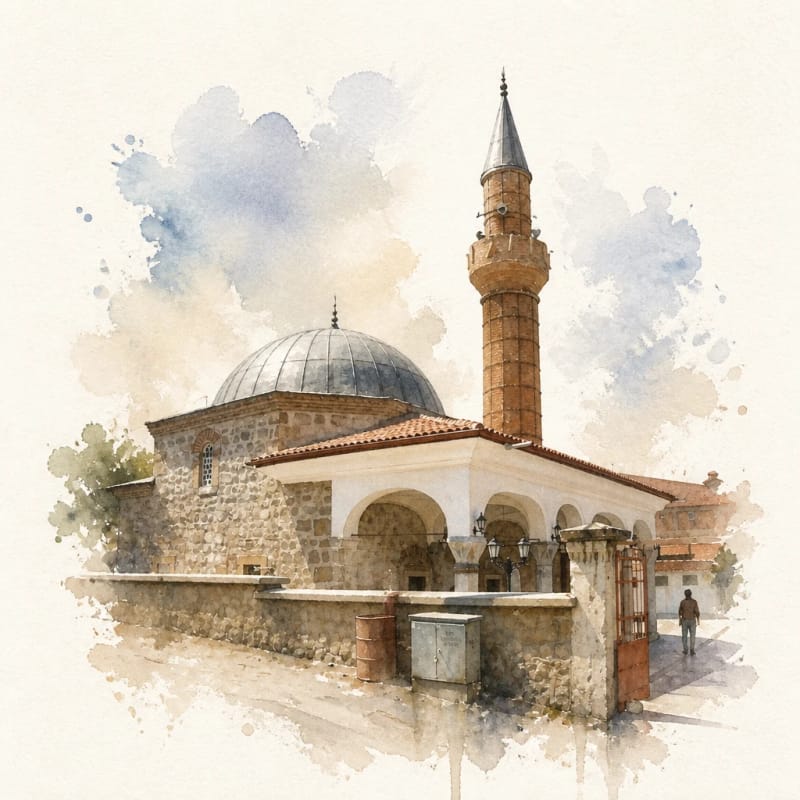 Han Camisi